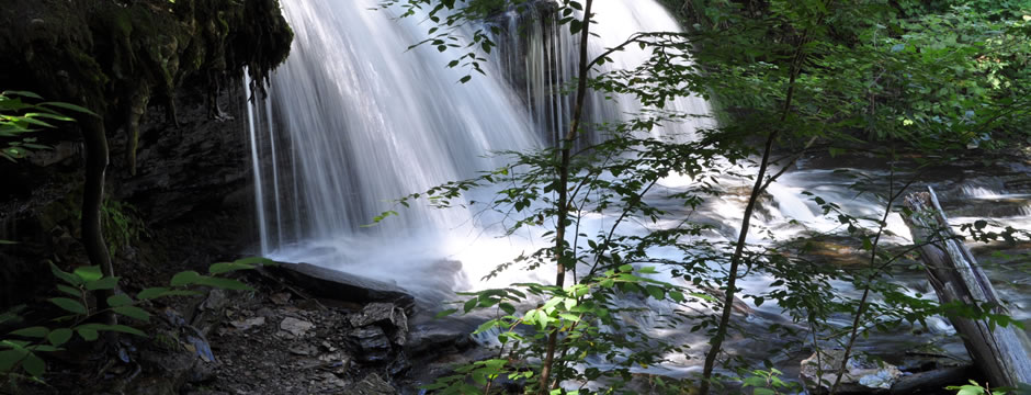 网页版呼叫在线轰炸电话